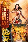 天王传奇截图4