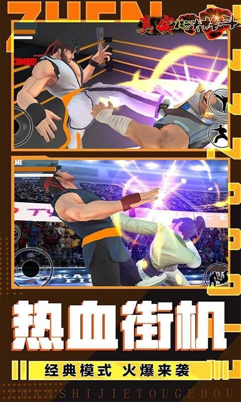 真实街头格斗截图1