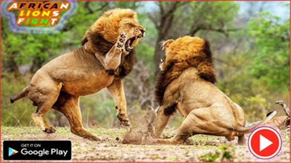 非洲狮模拟器截图2
