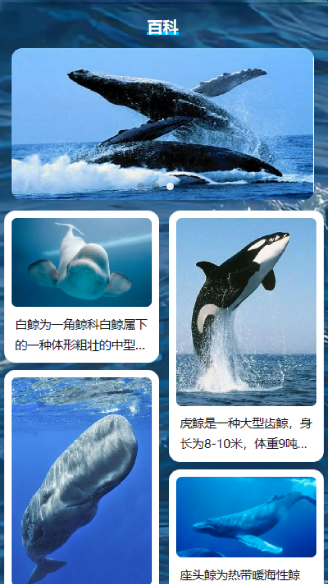 鲸喜刷刷截图1