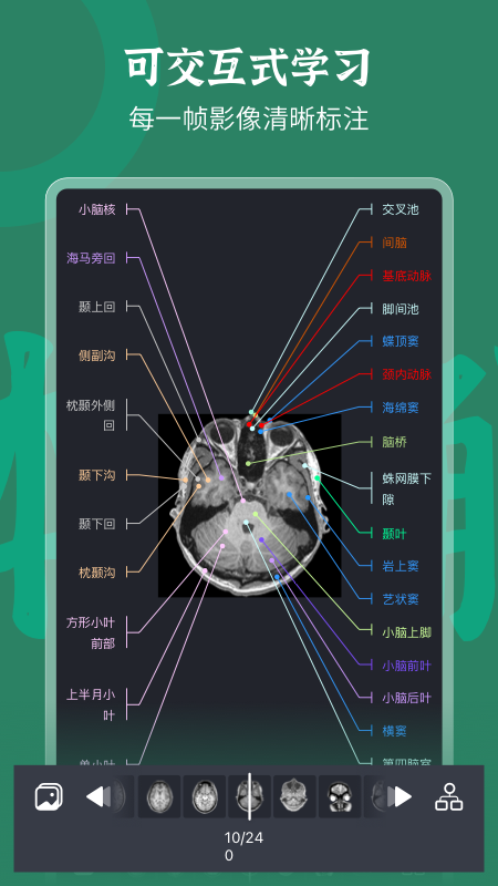 万康人体解剖截图4