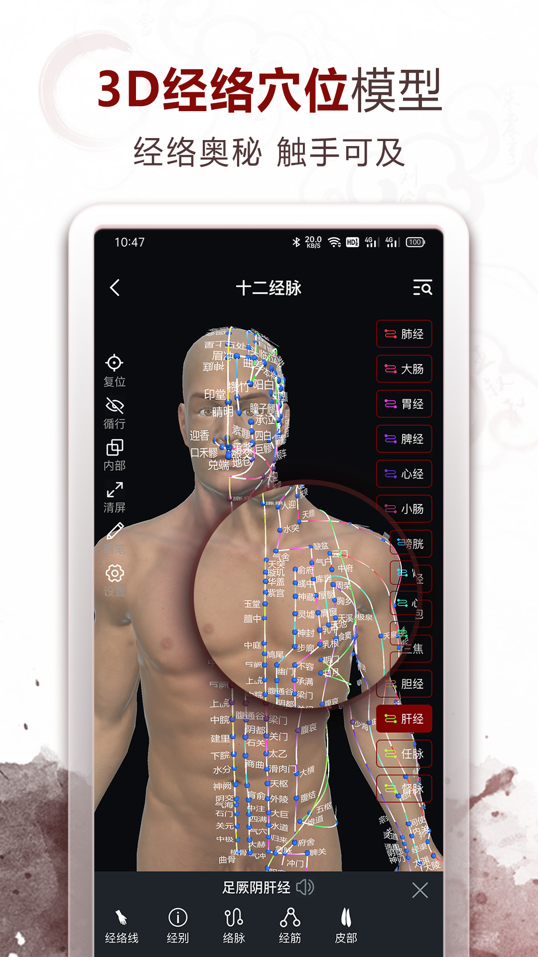 中医经络穴位截图1