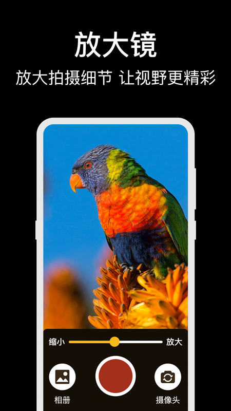 放大镜高倍截图3