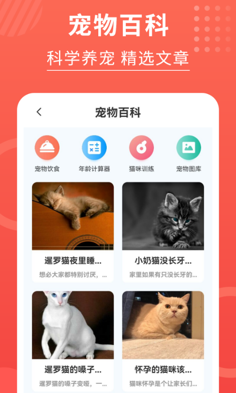 猫猫翻译器截图3