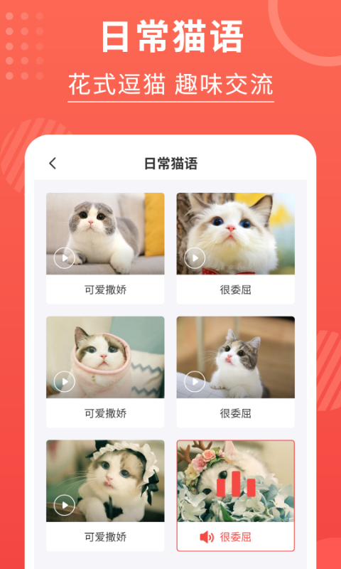 猫猫翻译器截图4