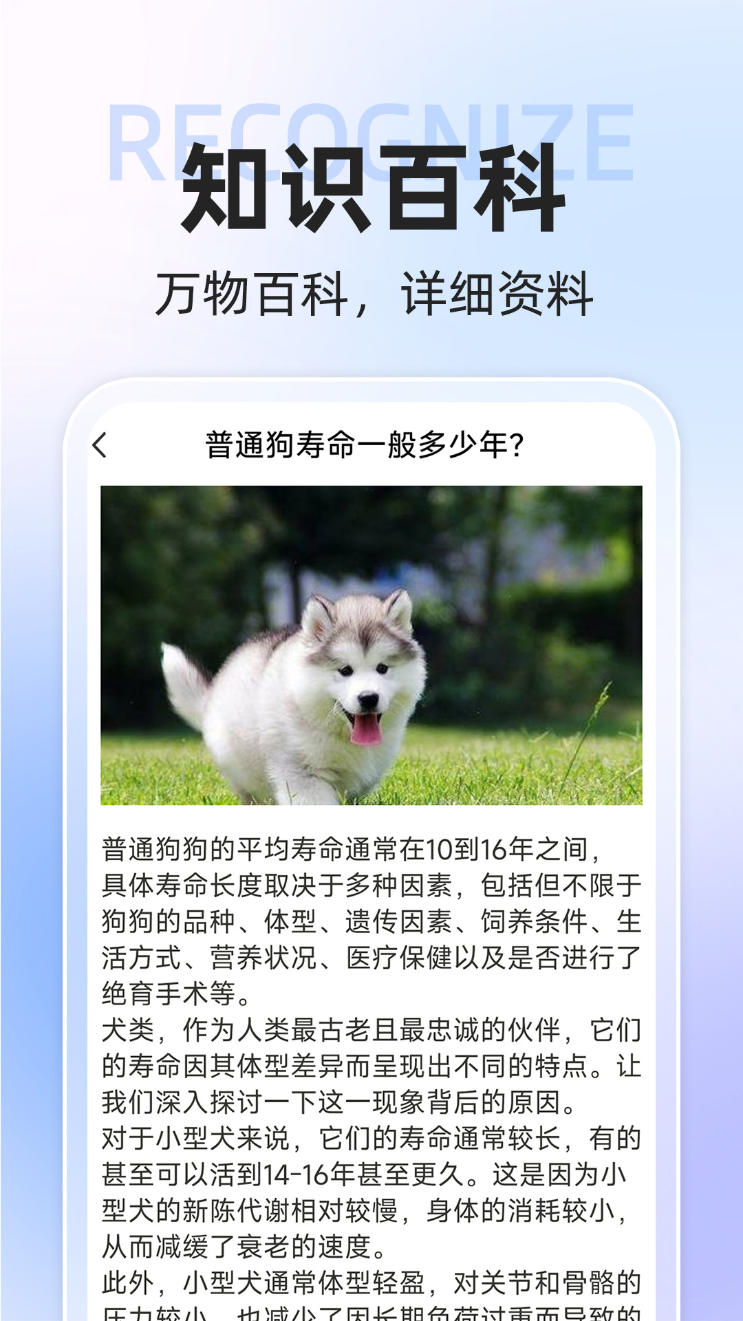 ai动物世界截图4