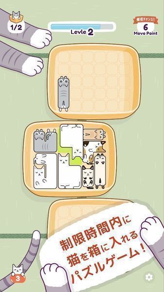 猫猫睡觉截图2