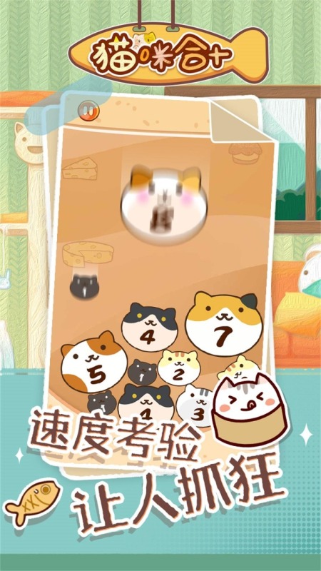 猫咪合十截图1