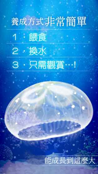 水母养成汉化版截图2