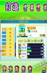 冠军足球物语1截图3