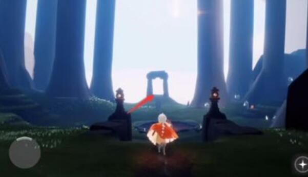 光遇晨岛雨林在哪里