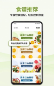 懒人轻断食截图3