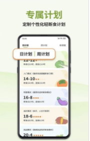 懒人轻断食截图2