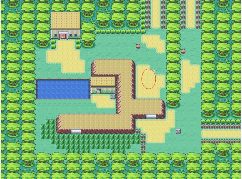 口袋妖怪火红双倍金币哪里拿