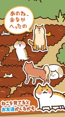 猫咪田园中文版截图3