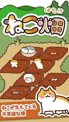 猫咪田园中文版截图4