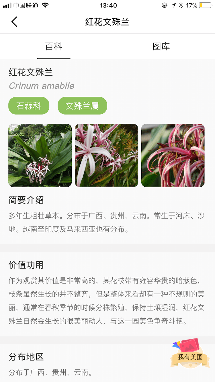 花伴侣植物识别软件截图2