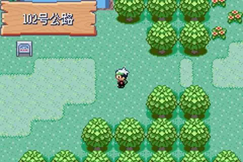 口袋妖怪火红双倍金币哪里拿