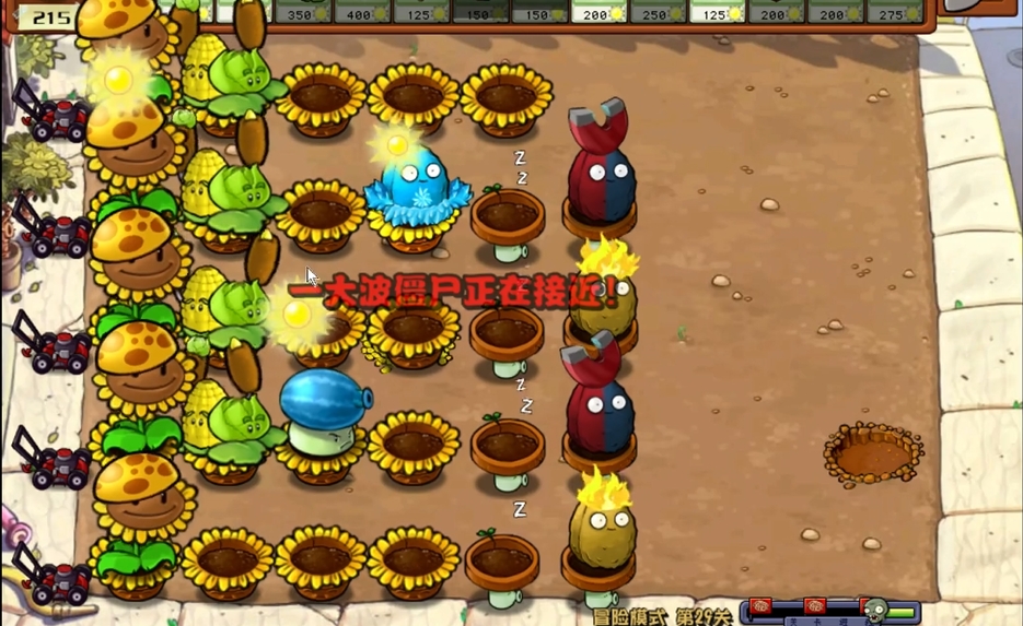 植物大战僵尸关卡29怎么过