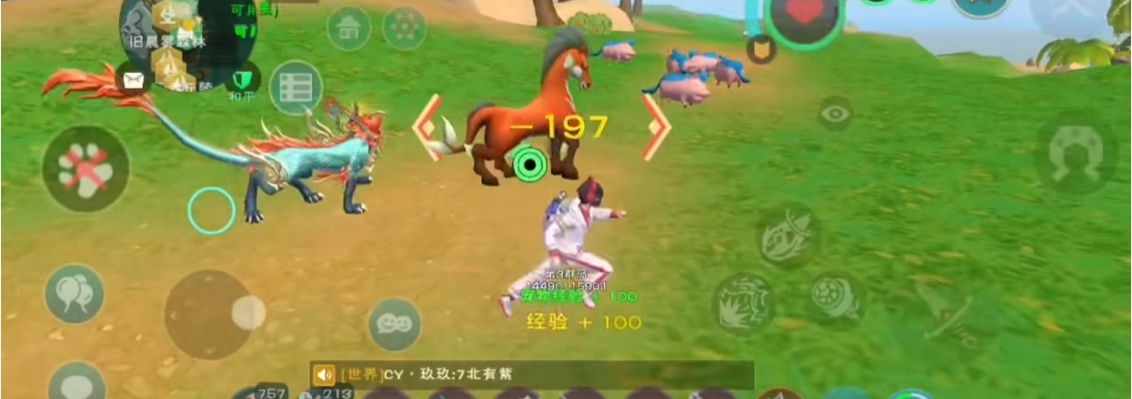 创造与魔法什么宠物血最厚