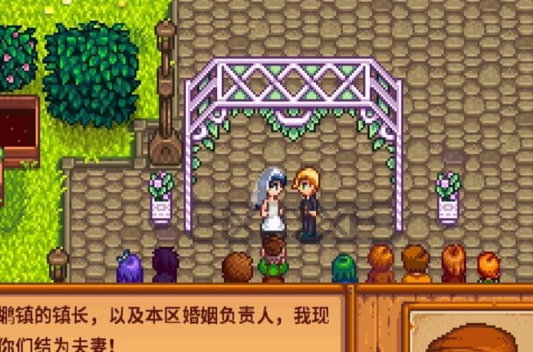 星露谷物语如何快速刷好感度