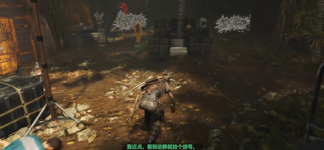 古墓丽影双子受封之地怎么过