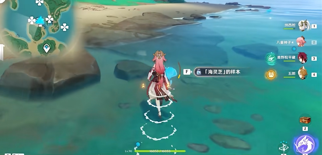 原神海灵芝位置在哪