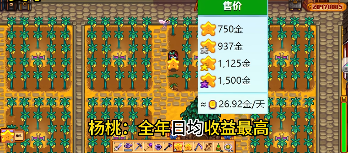 星露谷物语杨桃怎么卖最赚钱