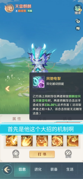 长安幻想普陀宠物培养攻略