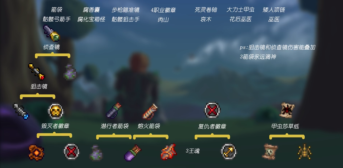 泰拉瑞亚有哪些饰品
