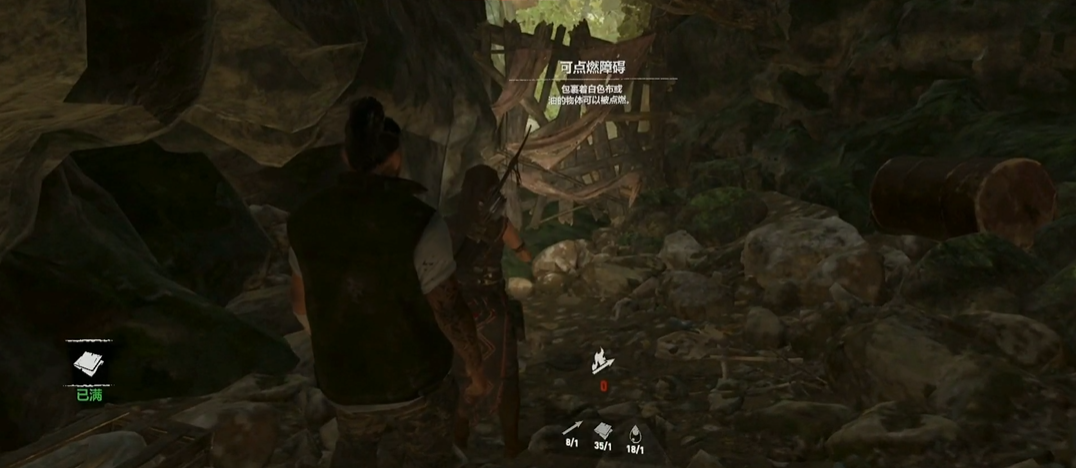 古墓丽影可点燃障碍怎么过