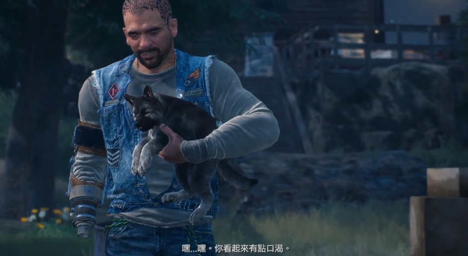 往日不再狗带回家后在哪