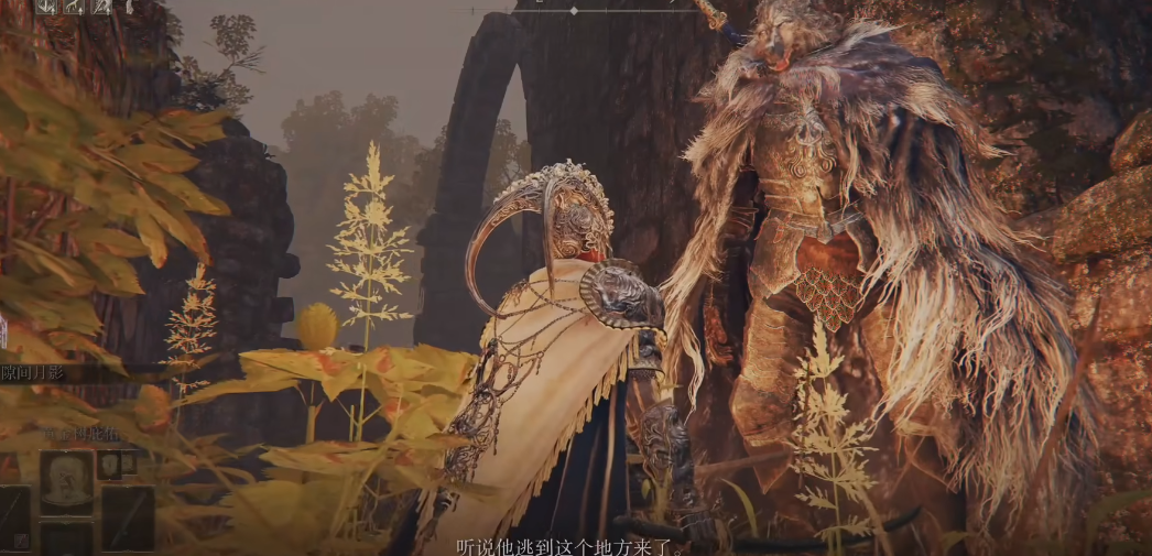 艾尔登法环菈妮盟友有哪些