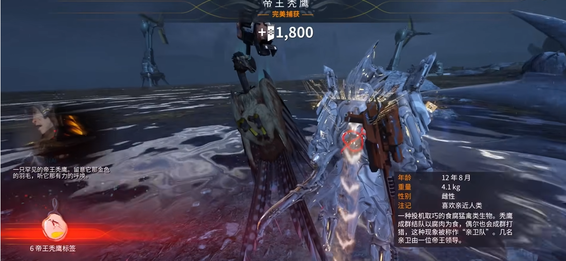 星际战甲地球怎么捕捉动物 星际战甲地球怎么捕捉动物