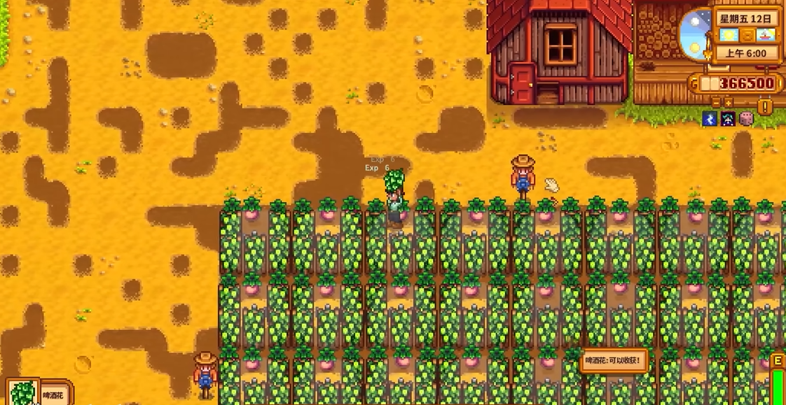 星露谷物语夏天怎么赚钱