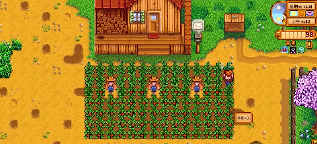 星露谷物语刚开始种什么好