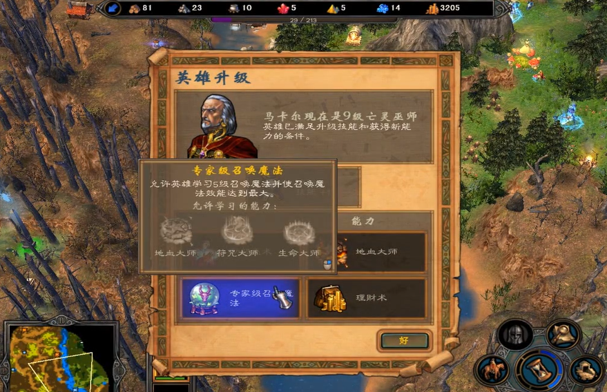 英雄无敌5马卡尔技能怎么用不了