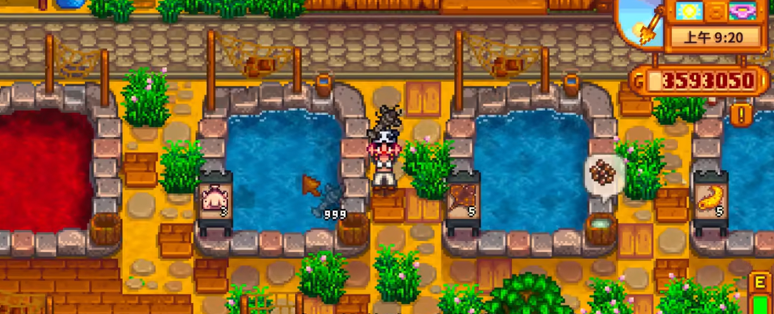 星露谷物语鱼王怎么养殖