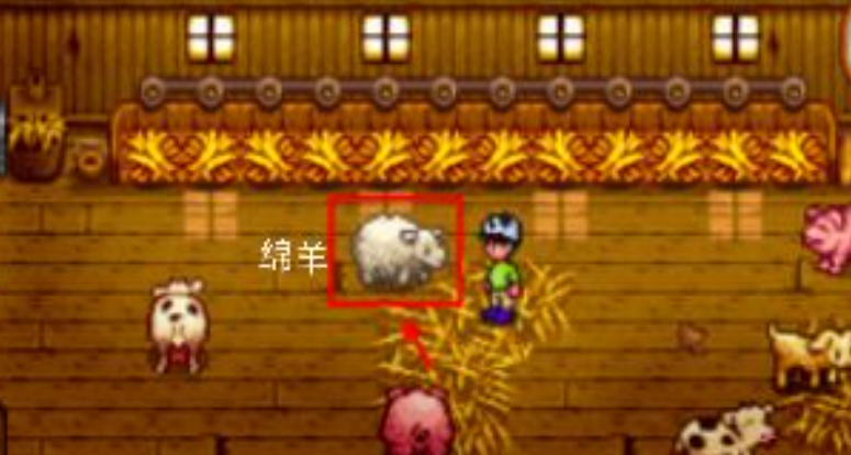 星露谷物语养什么动物好