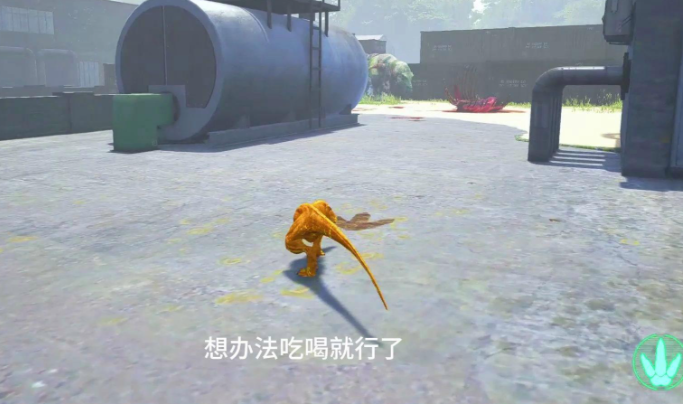 恐龙岛恐龙怎么进化