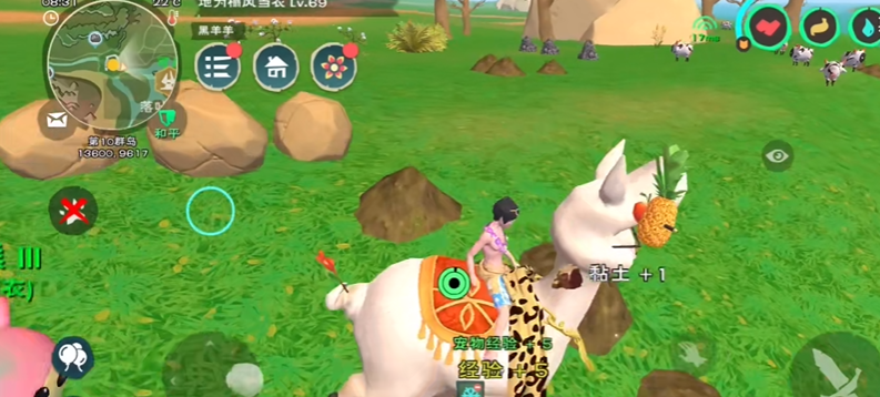 创造与魔法黏土哪里最多