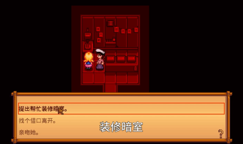 星露谷物语海莉暗室选什么