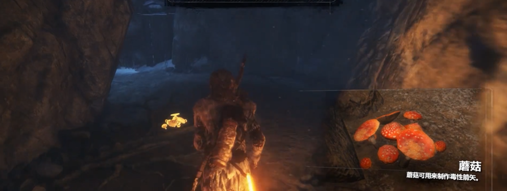 古墓丽影10毒蘑菇怎么找