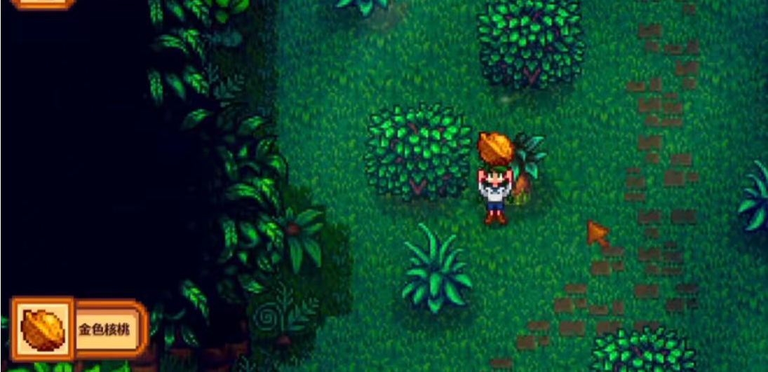 星露谷物语金色核桃怎么用