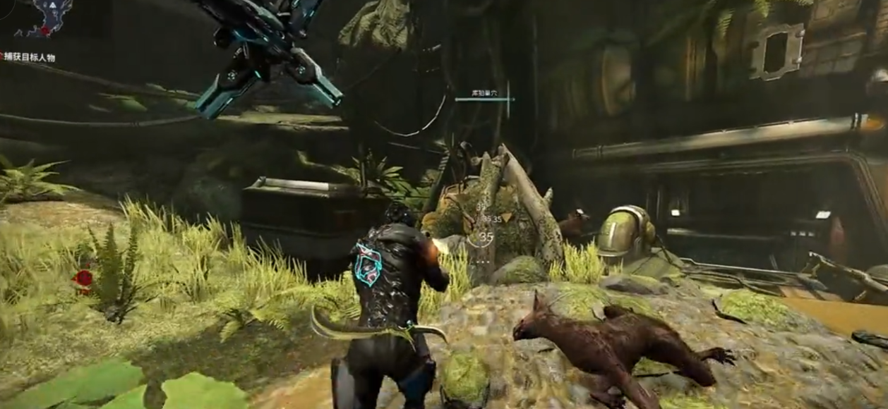 星际战甲野生库狛蛋在哪