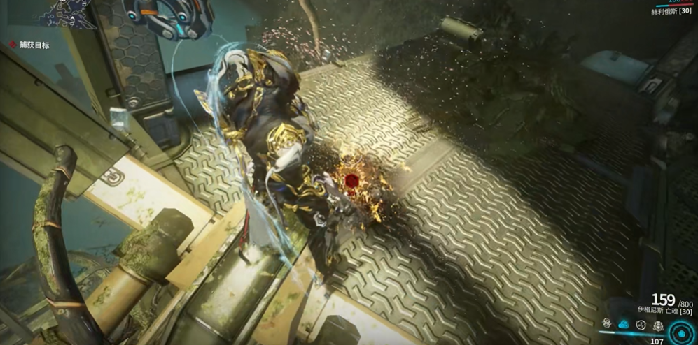 星际战甲宠物蛋为什么找不到