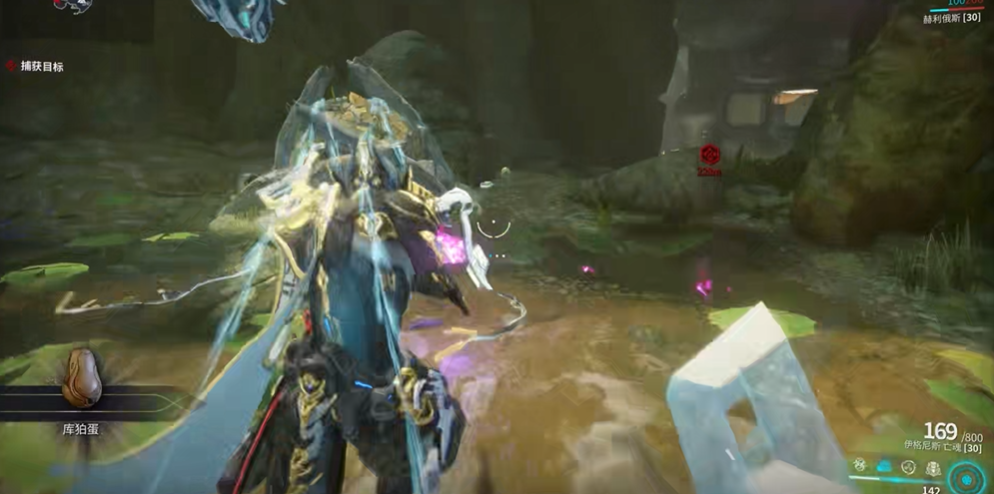 星际战甲宠物蛋为什么找不到