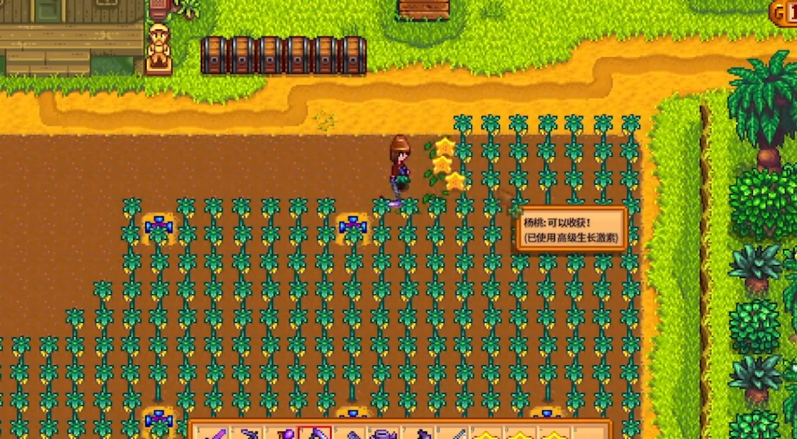 星露谷物语耕种等级怎么升最快