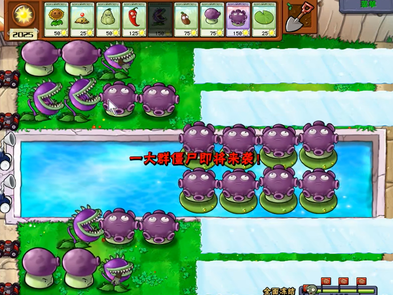 植物大战僵尸中全面冻结怎么过