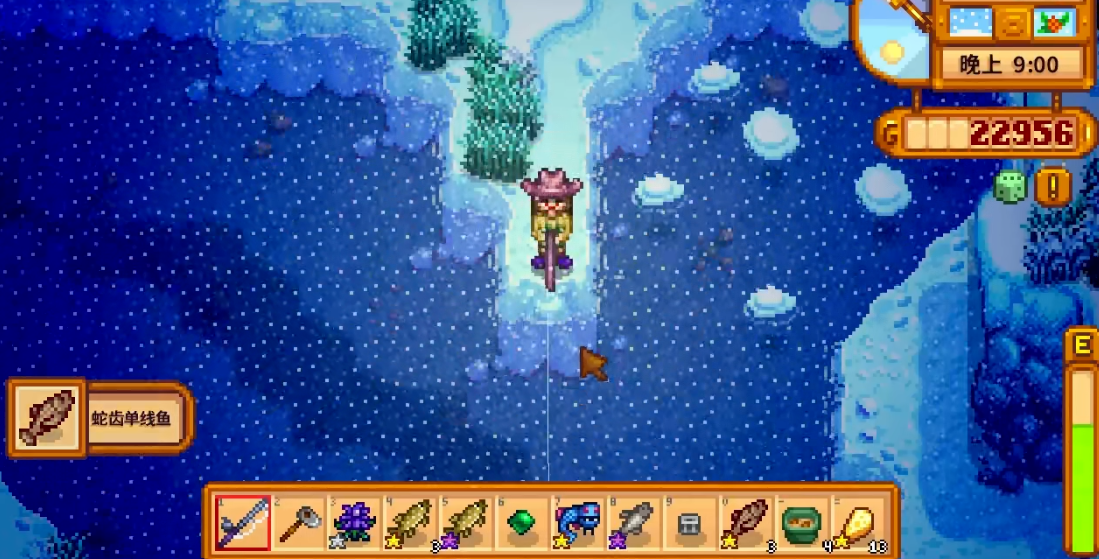 星露谷物语怎么在冬季钓鱼王